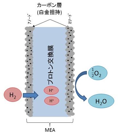 図8 MEAの構造