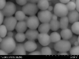 AuRoFUSE™烧结@150℃･5分钟（放大图）