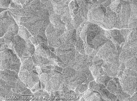 不溶性電極 白金0.1µｍの表面SEM画像