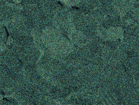 ミクロプレートのSEM-EDX Ptマッピング画像
