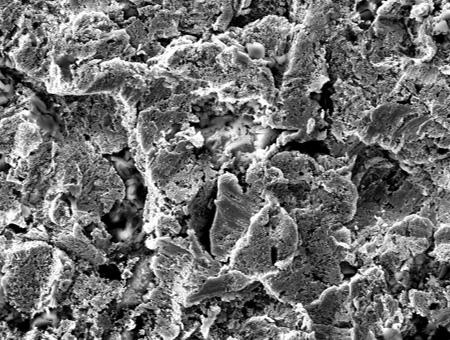 通常めっきのSEM×1000画像