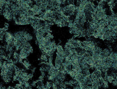 通常めっきのSEM-EDX Ptマッピング画像