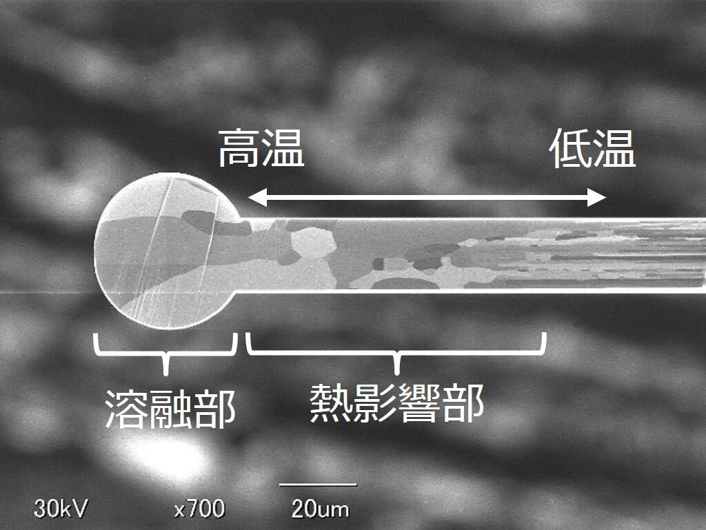 Pt断面図