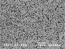 CoCrPt-SiO2ターゲット中の酸化物分散状態の例（黒点：SiO2、マトリックス：均一なCoCrPt合金）